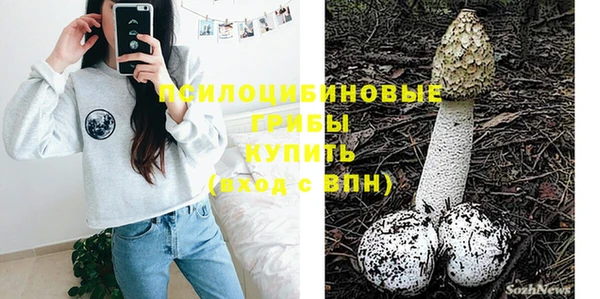 прущая мука Богданович