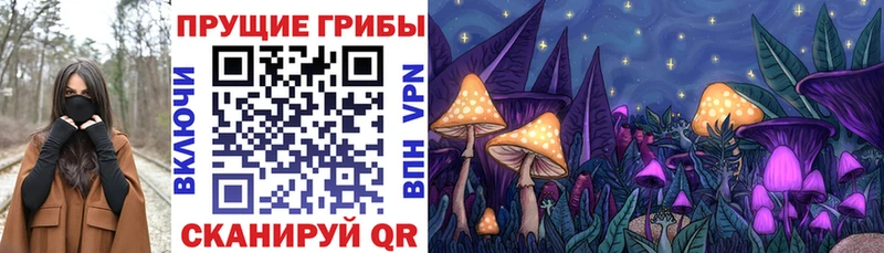 Галлюциногенные грибы MAGIC MUSHROOMS  Александровское 