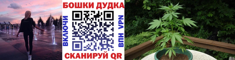 кракен ONION  Александровское  Бошки Шишки тримм 